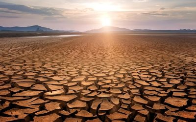 Quality Control of the National Adaptation Plan (NAP) Document