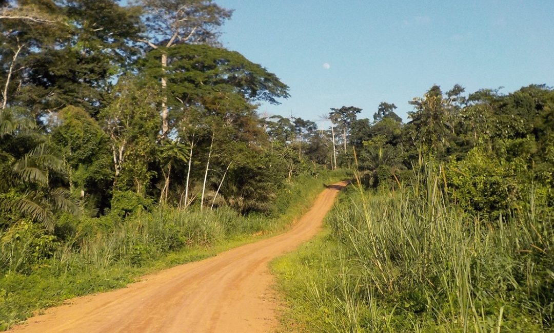 REDD+ Feasibility Study and Project Design Document