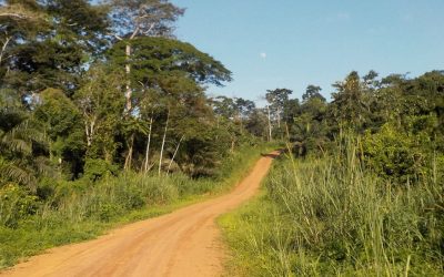 REDD+ Feasibility Study and Project Design Document