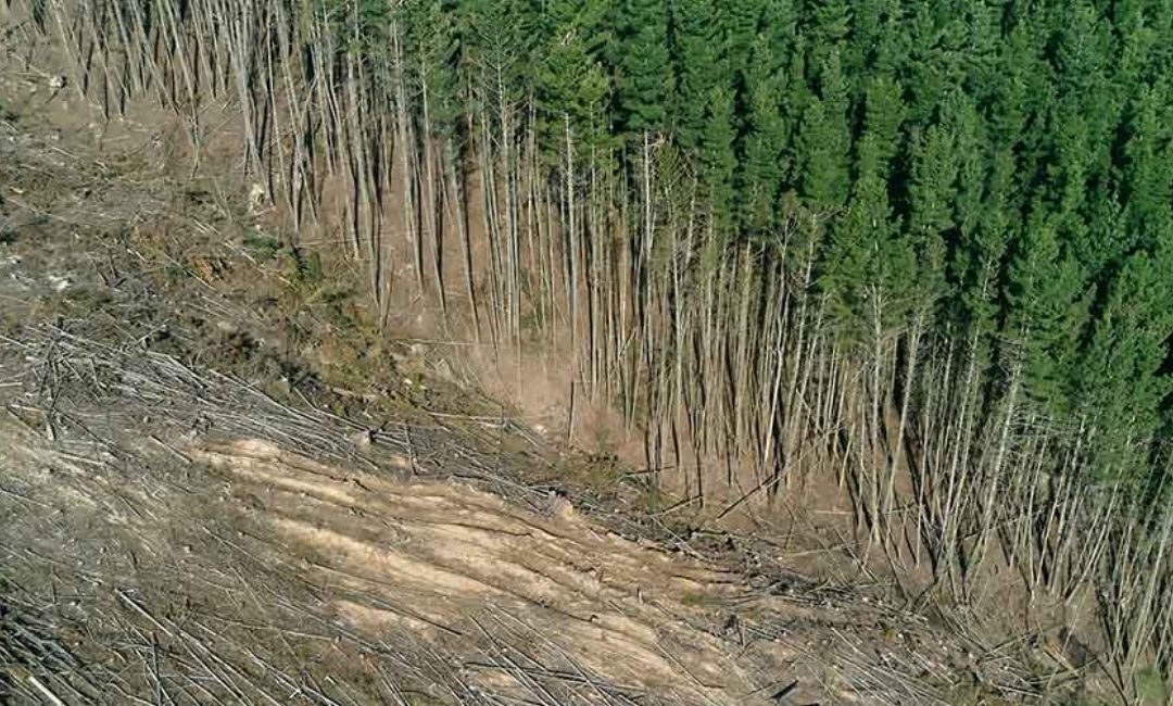 Reporting for Result-based REDD+ Action (RRR+2) Project Evaluation