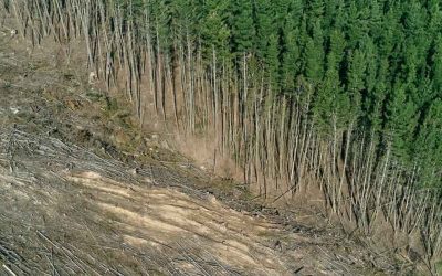 Reporting for Result-based REDD+ Action (RRR+2) Project Evaluation