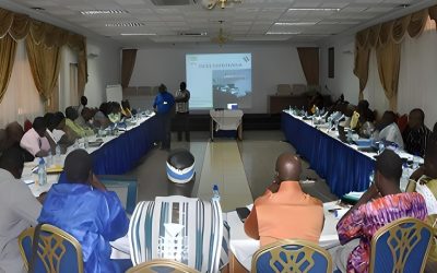 Strategic Environmental and Social Assessment