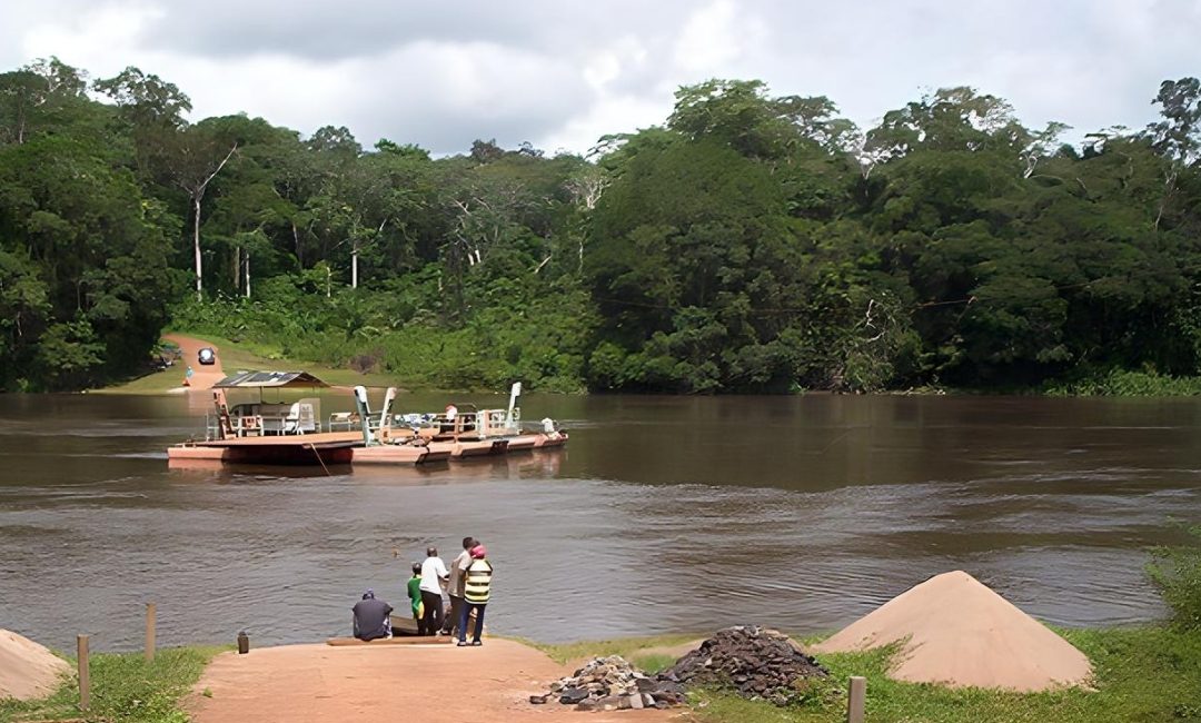 Strengthen capacities of African forestry stakeholders to respond to climate change