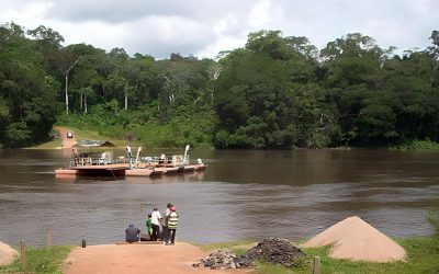 Strengthen capacities of African forestry stakeholders to respond to climate change
