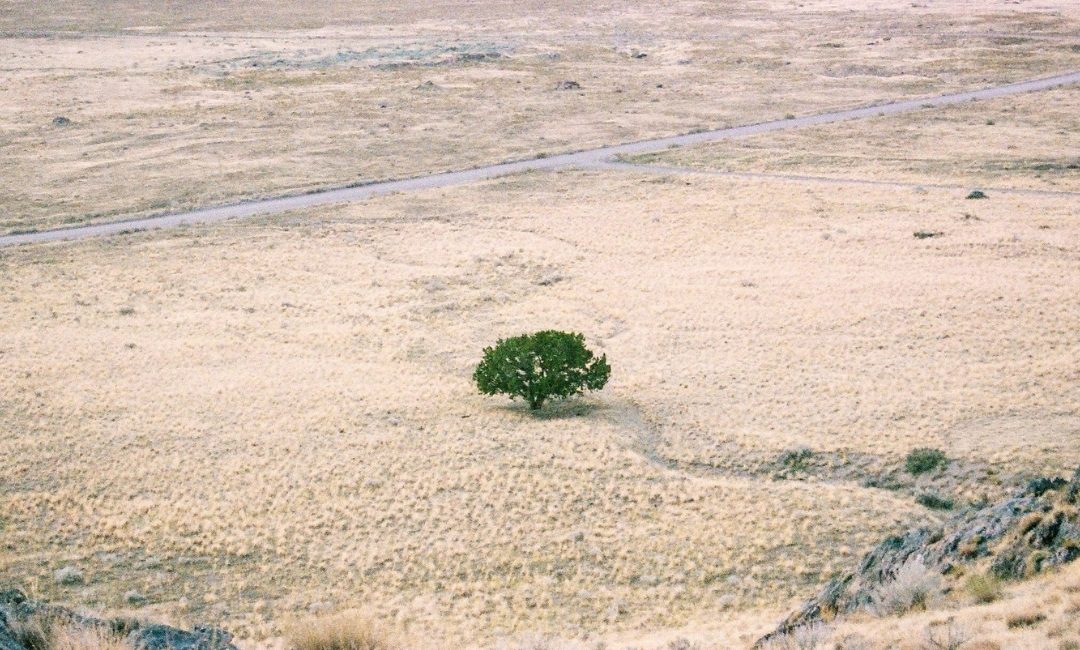 Strengthening the Capacity of NDA to Access GCF