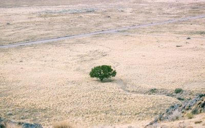 Strengthening the Capacity of NDA to Access GCF