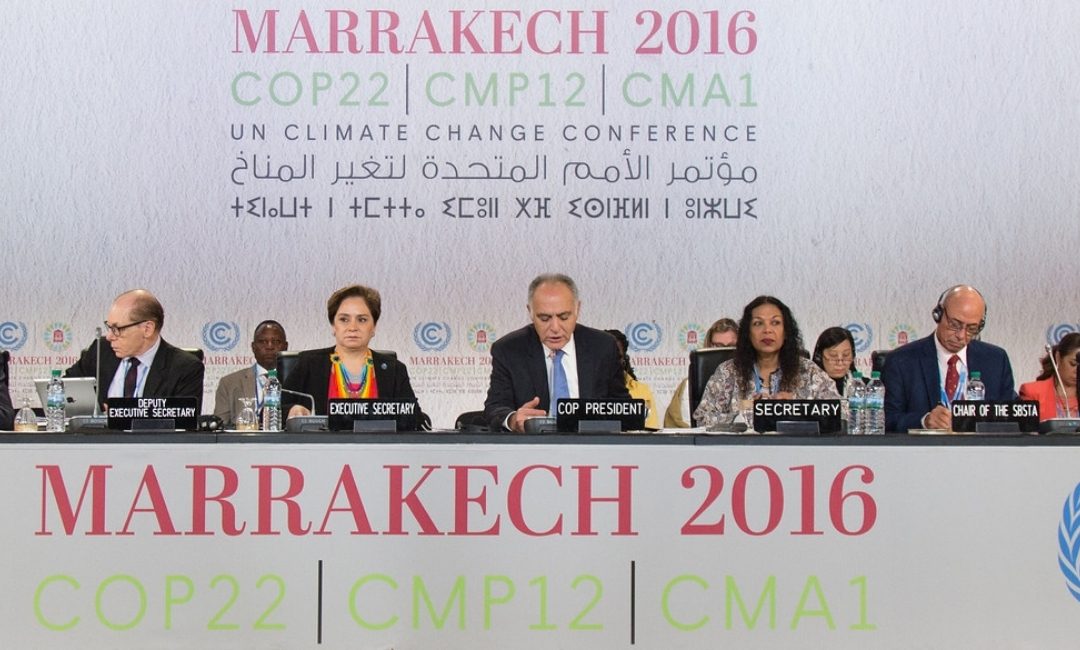 Support during UNFCCC COP22 Climate Negotiations