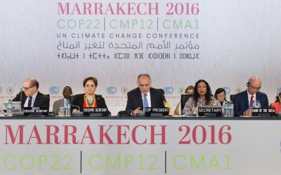 Support during UNFCCC COP22 Climate Negotiations