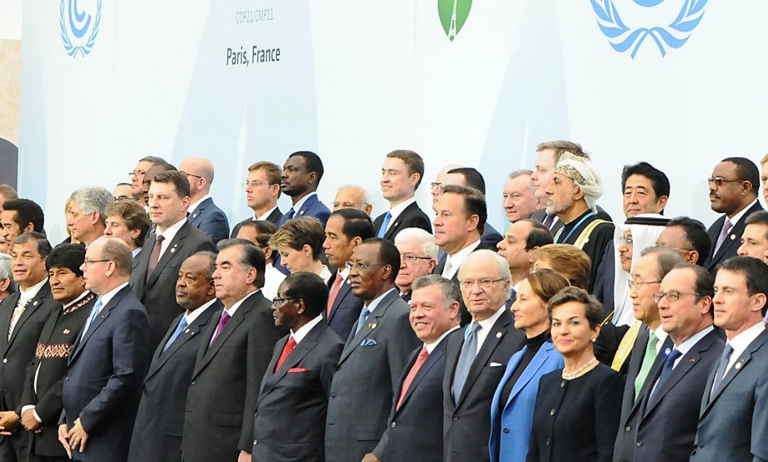 Support to COMIFAC during UNFCCC COP21 Climate Negotiations