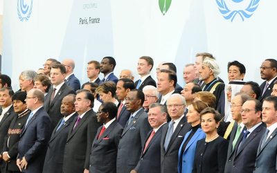 Support to COMIFAC during UNFCCC COP21 Climate Negotiations