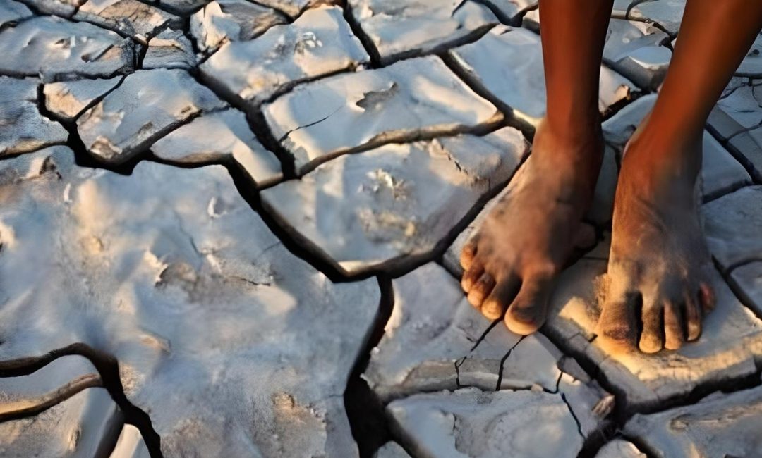 Support to the African Group of Negotiators (AGN) in the UNFCCC
