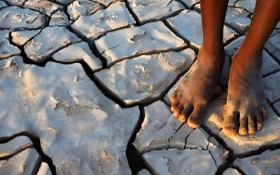 Support to the African Group of Negotiators (AGN) in the UNFCCC