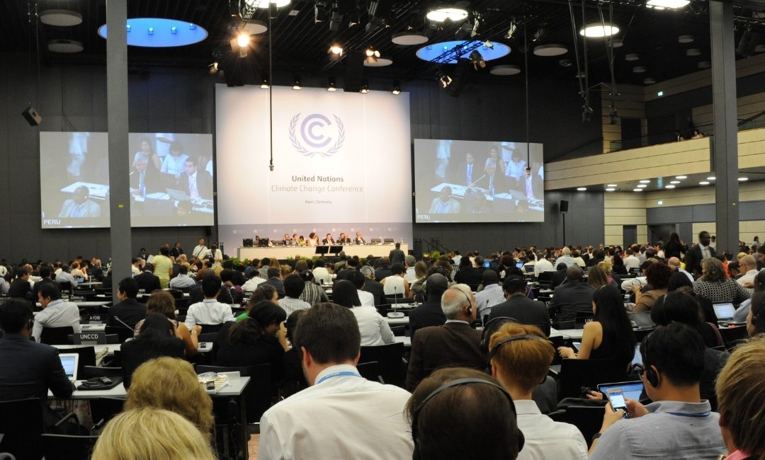 UNFCCC Negotiations, Project Development and Climate Finance Support
