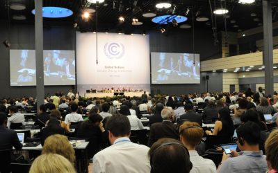 UNFCCC Negotiations, Project Development and Climate Finance Support