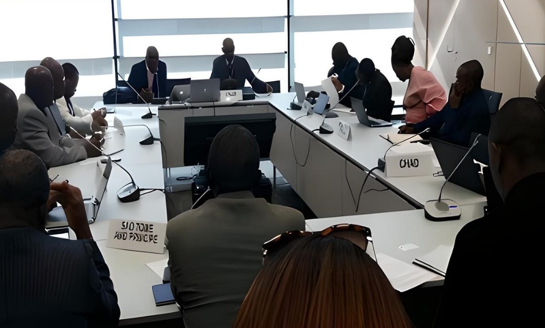UNFCCC Negotiations – SB48 / COP24