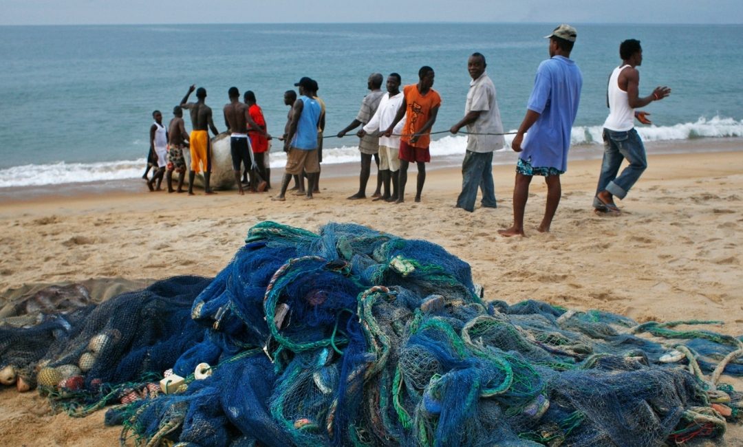 Vulnerability Assessment (Agriculture, Fishery & Forest Sectors)