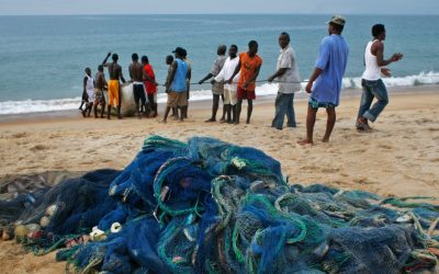 Vulnerability Assessment (Agriculture, Fishery & Forest Sectors)